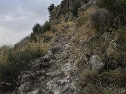 Yacimiento de la Almoloya 2023